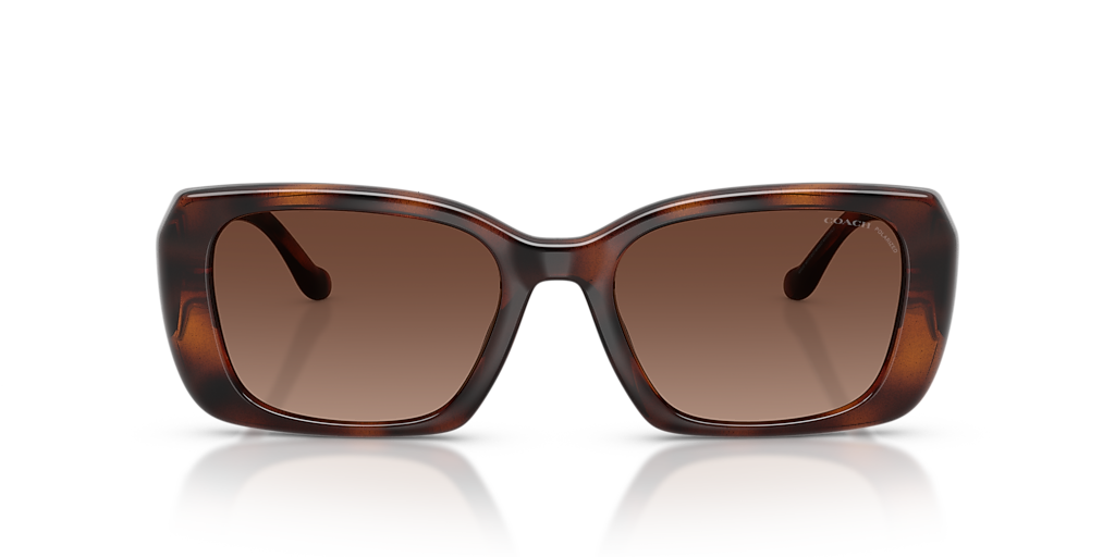 Coach CBY82 M (54 - 19) with Brown lenses and Tortoise frame  display picture 2