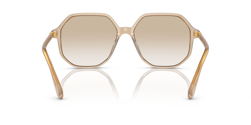 Swarovski SK6003 XL (57 - 16) with Grey lenses and Brown frame