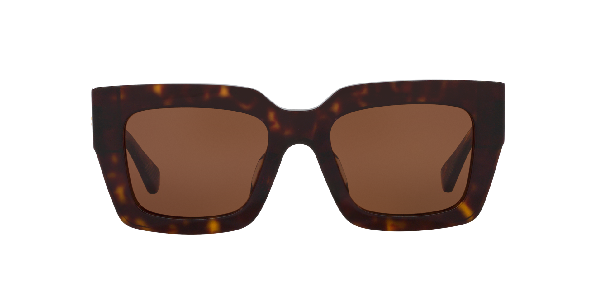 Bottega Veneta BV1212S