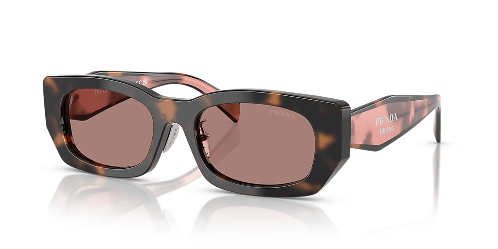 Prada PR B05SF L (53 - 19) with Brown lenses and Tortoise frame