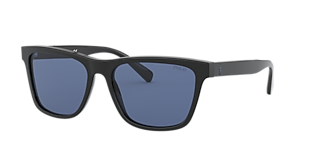 Polo Ralph Lauren PH4184 S (49 - 22) with Blue lenses and Blue