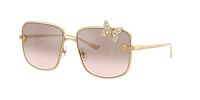 Versace VE2282 XL (59 - 15) with Brown lenses and Gold frame