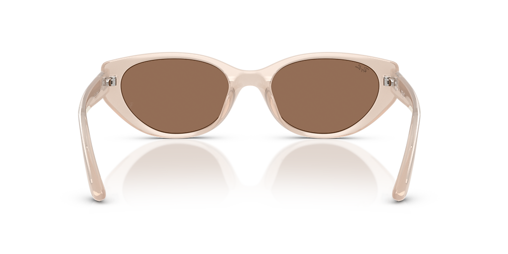 Ray-Ban RB4457D Bio-Based L (55 - 19) with Brown lenses and Brown
