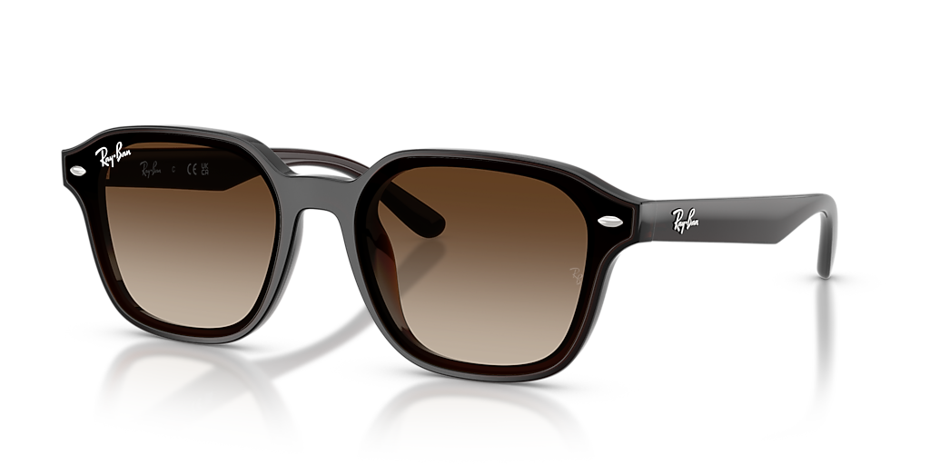 Ray-Ban RB4458D XL (65 - 18) with Brown lenses and Brown frame