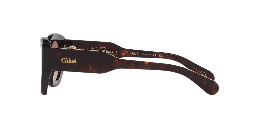 Chloé CH0220S M (53 - 21) with Brown lenses and Tortoise frame