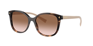 Prada PR A50S XXL (59 - 17) with Brown lenses and Gold frame