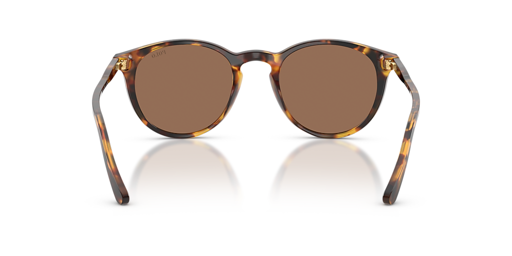 Polo Ralph Lauren PH4110 S (50 - 21) with Brown lenses and