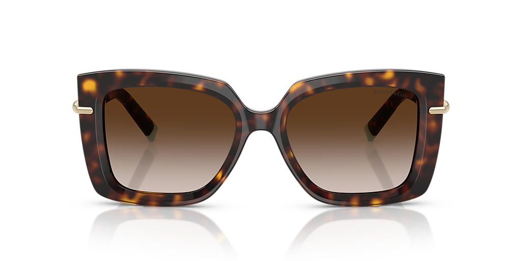Tiffany & Co. TF4199 XL (53 - 18) with Brown lenses and Tortoise