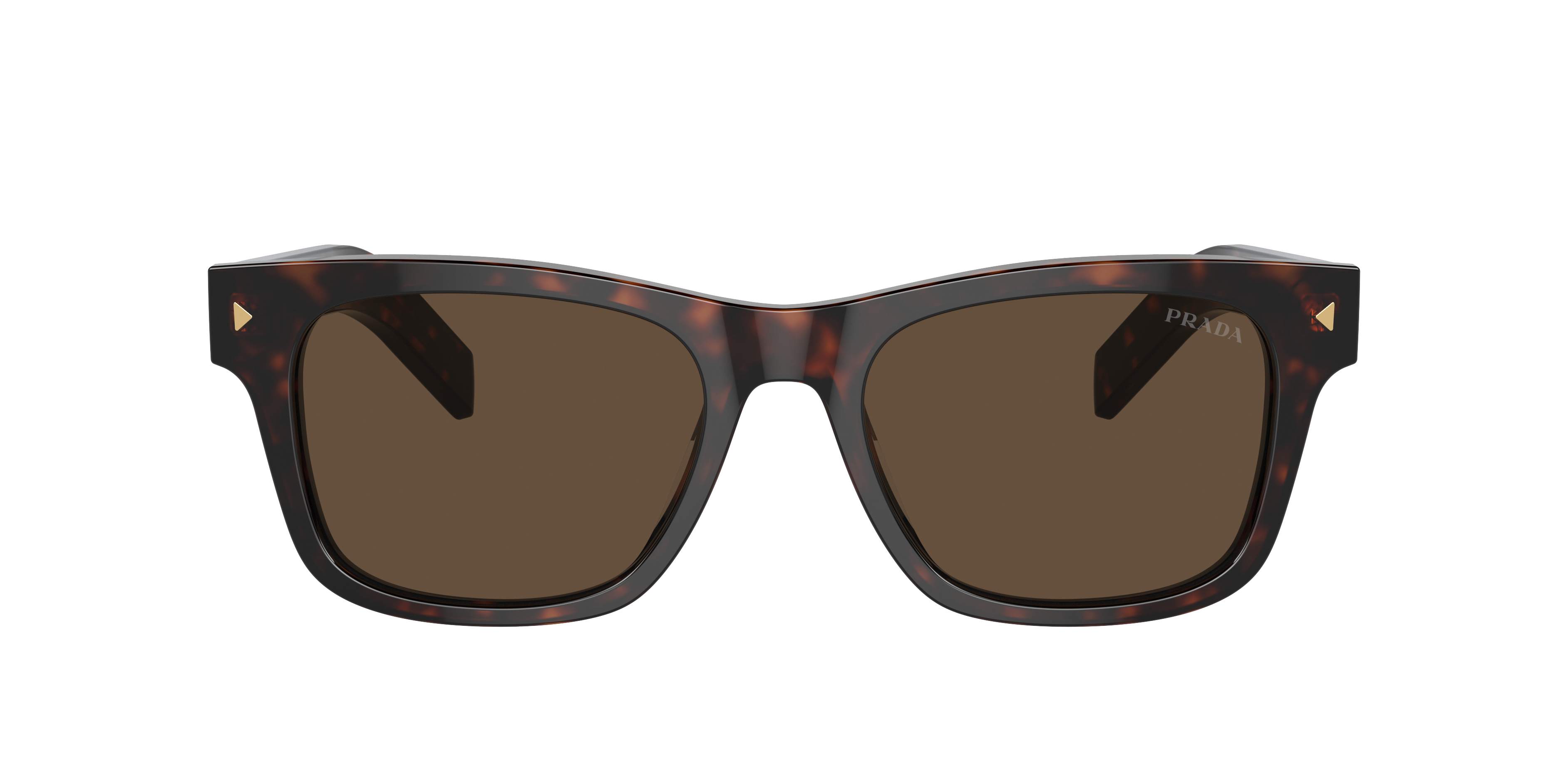 Prada PR A17SF XL (55 - 18) with Brown lenses and Tortoise frame