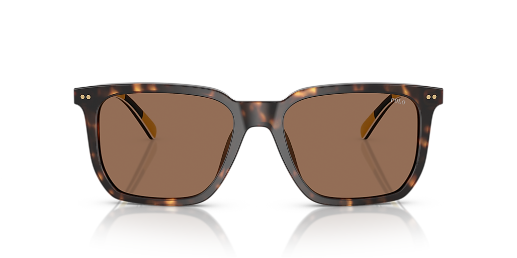 Polo Ralph Lauren PH4224U L (55 - 18) with Brown lenses and