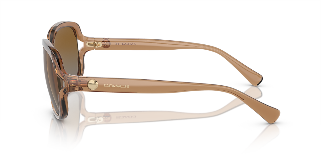 Coach L149 S (57 - 16) with Brown lenses and Brown frame
