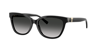 Tiffany & Co. TF4218 L (55 - 17) with Grey lenses and Black frame