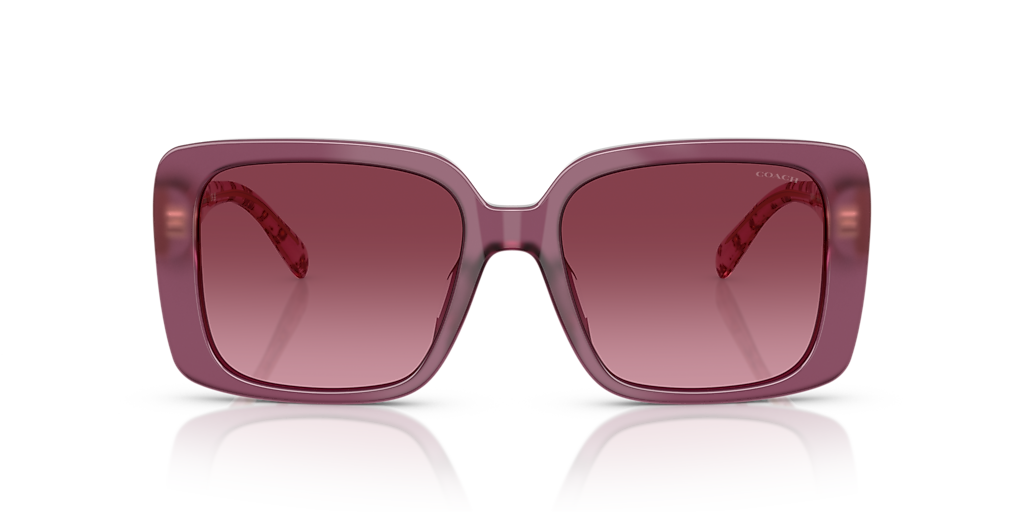 Coach CAD54 M (54 - 18) with Violet lenses and Violet frame  display picture 3