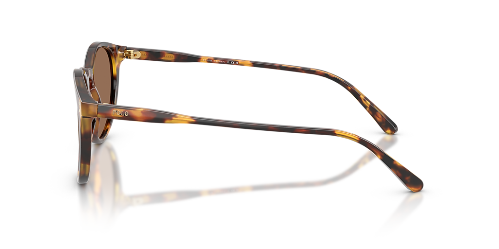 Polo Ralph Lauren PH4110 S (50 - 21) with Brown lenses and