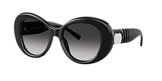 Tiffany & Co. TF4232 XXL (53 - 19) with Grey lenses and Black