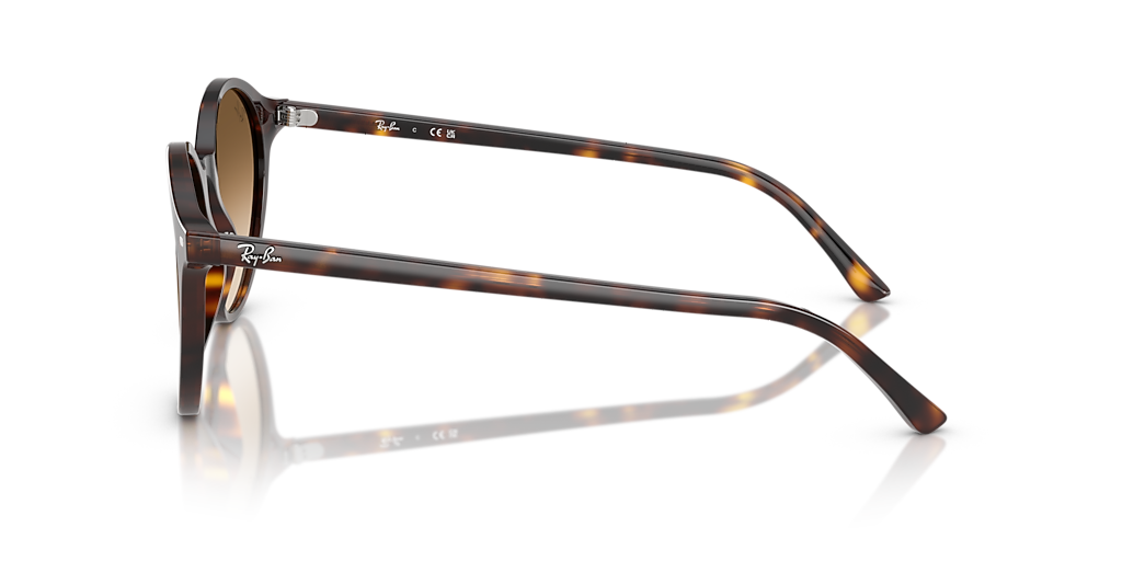 Ray-Ban RB2230 M (53 - 21) with Brown lenses and Tortoise frame