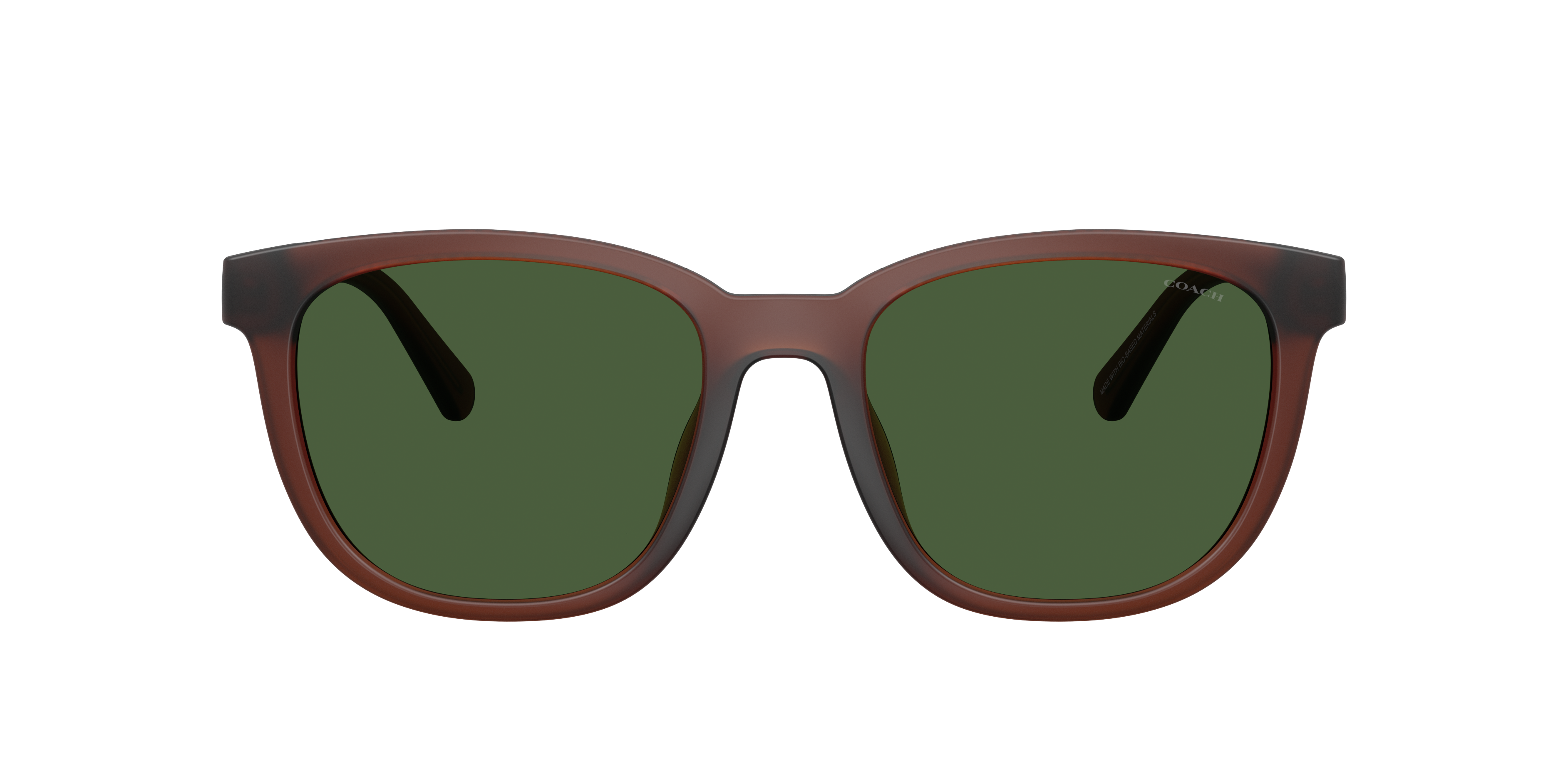 Coach CCA00 L (54 - 19) with Green lenses and Brown frame
