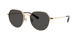Coach CAE93 XXL (57 - 19) with Violet lenses and Gold frame