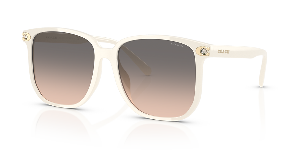Coach CW419 XL (58 - 16) with Grey lenses and Beige frame