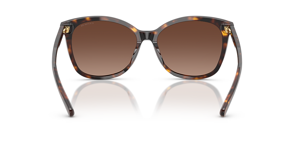 Coach L1101 M (57 - 16) with Brown lenses and Tortoise frame 