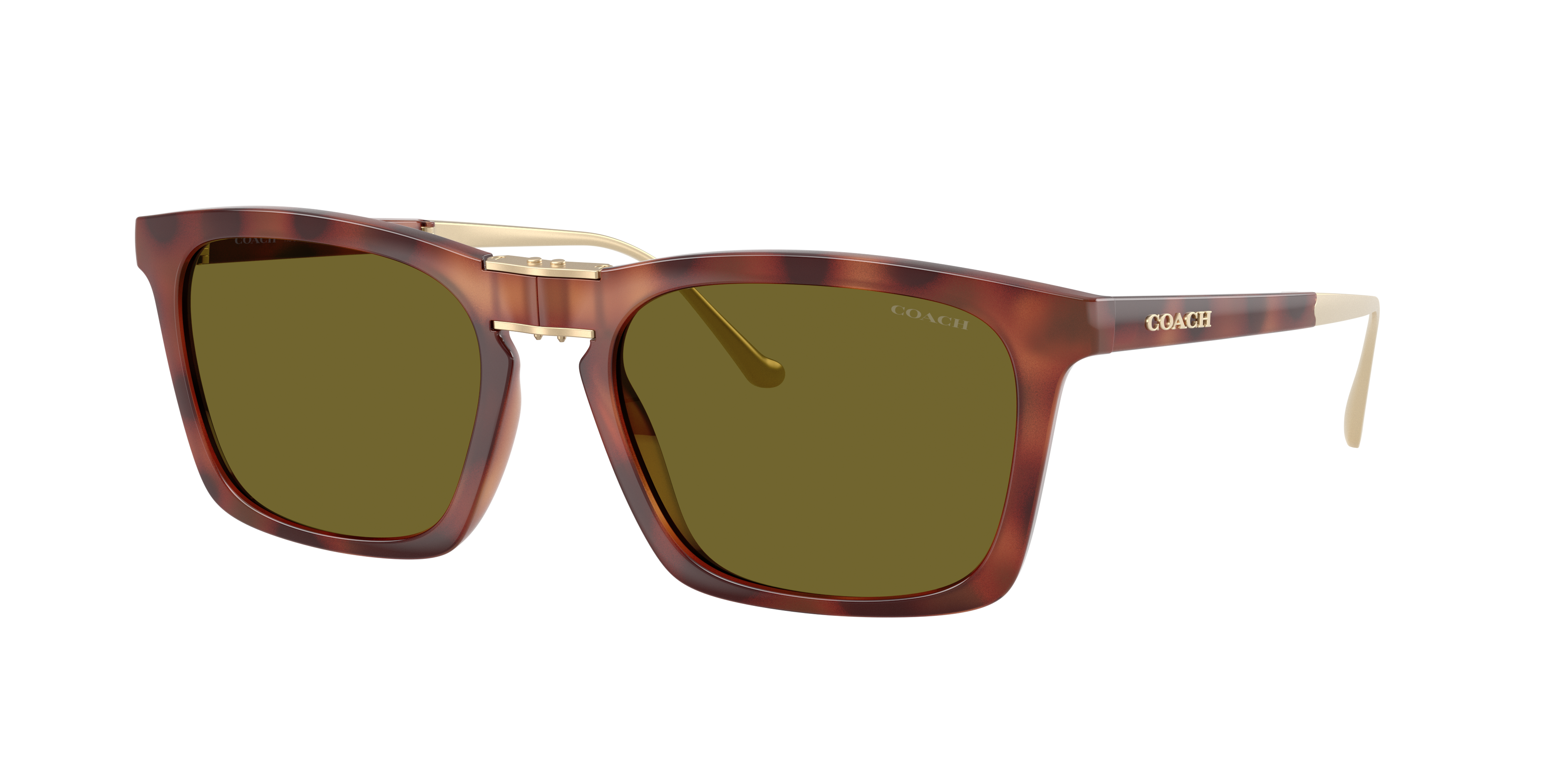 Coach Man Sunglass CDP54 -  Frame color: Caramel Tortoise, Lens color: Green Solid