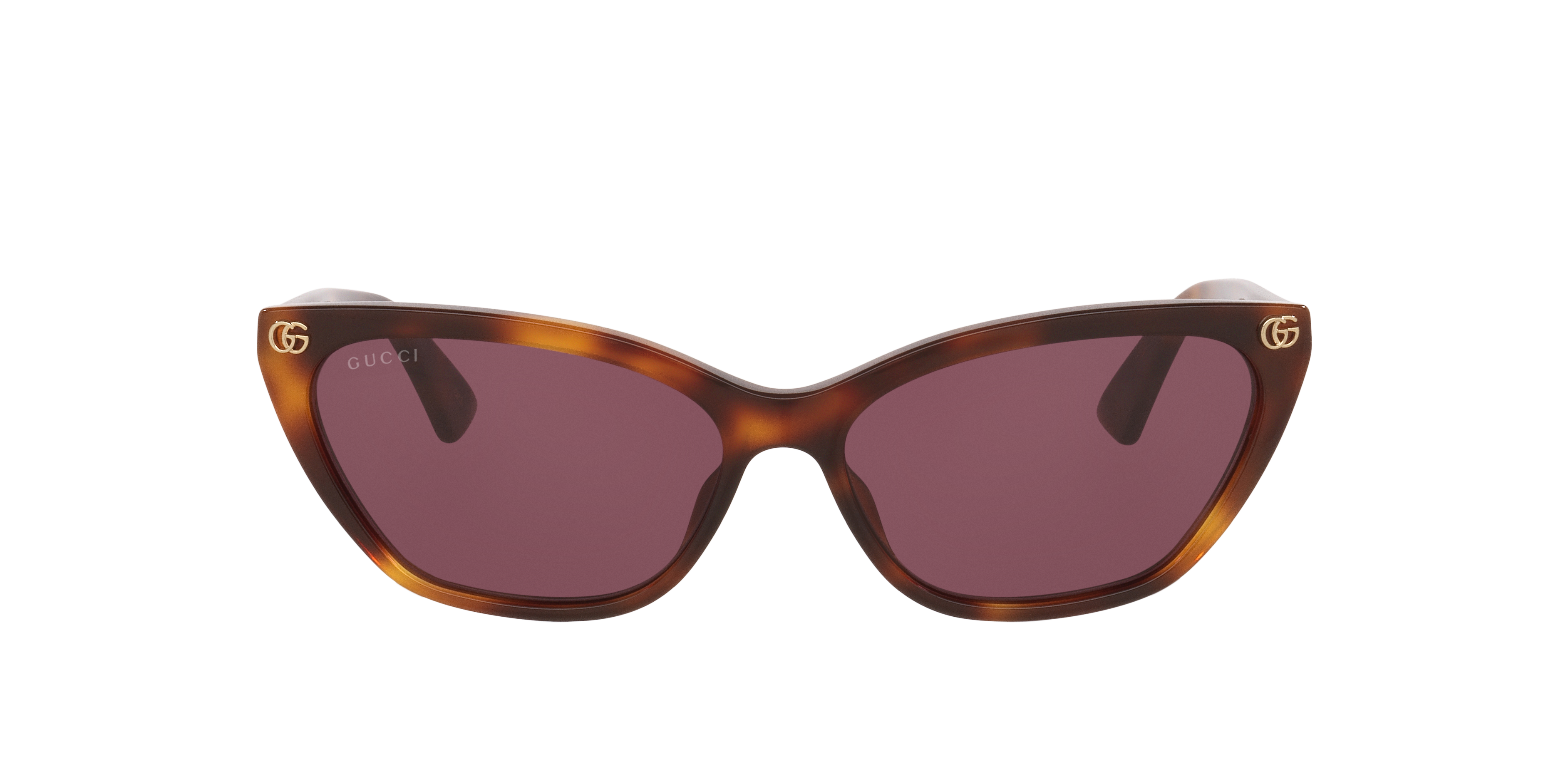 Gucci GG1815S L (58 - 15) with Violet lenses and Tortoise frame