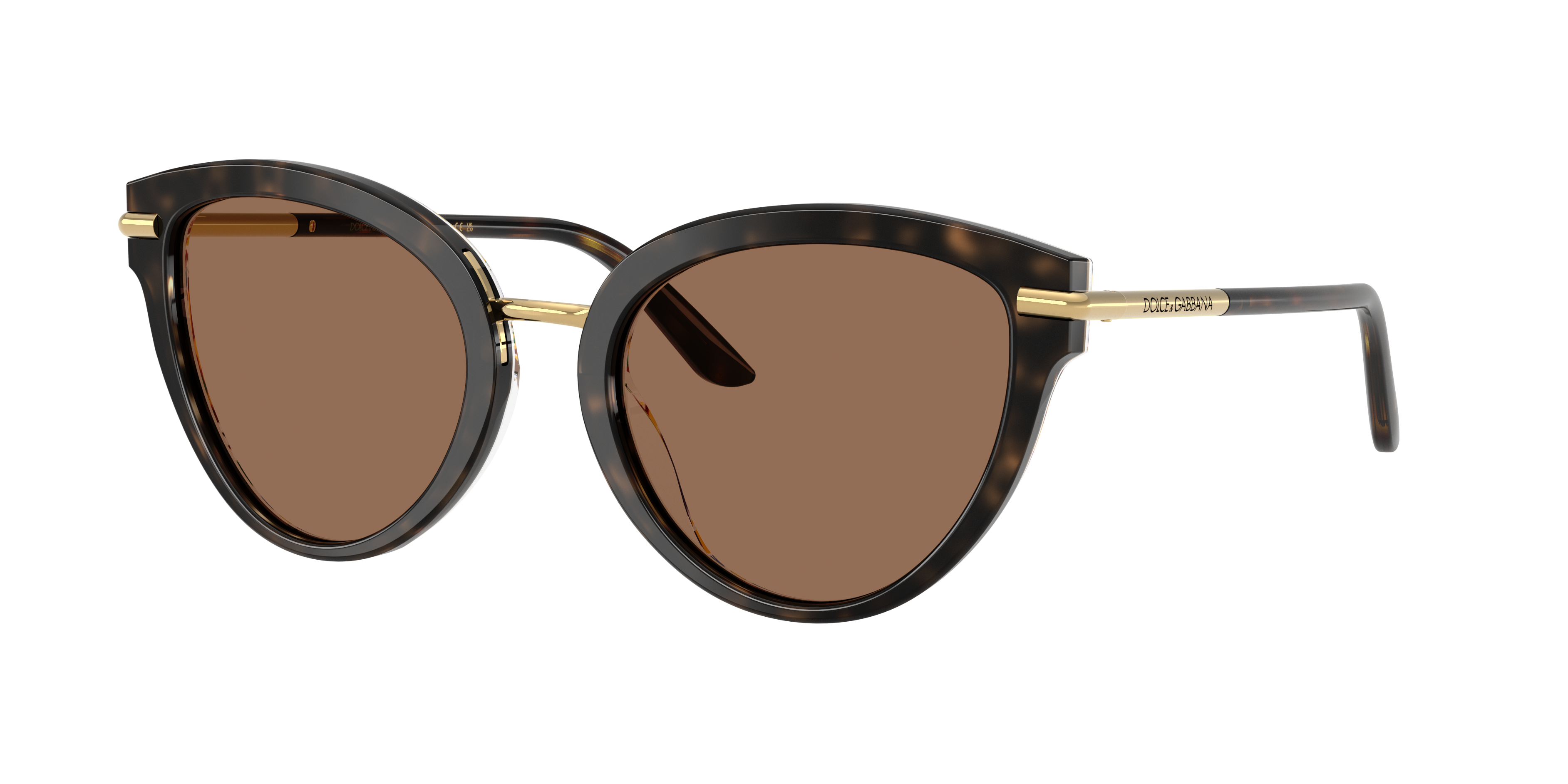Dolce&Gabbana DG4492 XXL (55 - 21) with Brown lenses and Tortoise