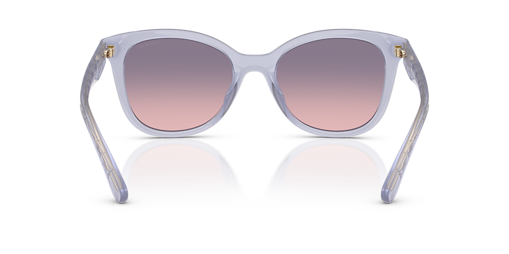 Coach CAD25 XL (55 - 20) with Violet lenses and Violet frame  display picture 2