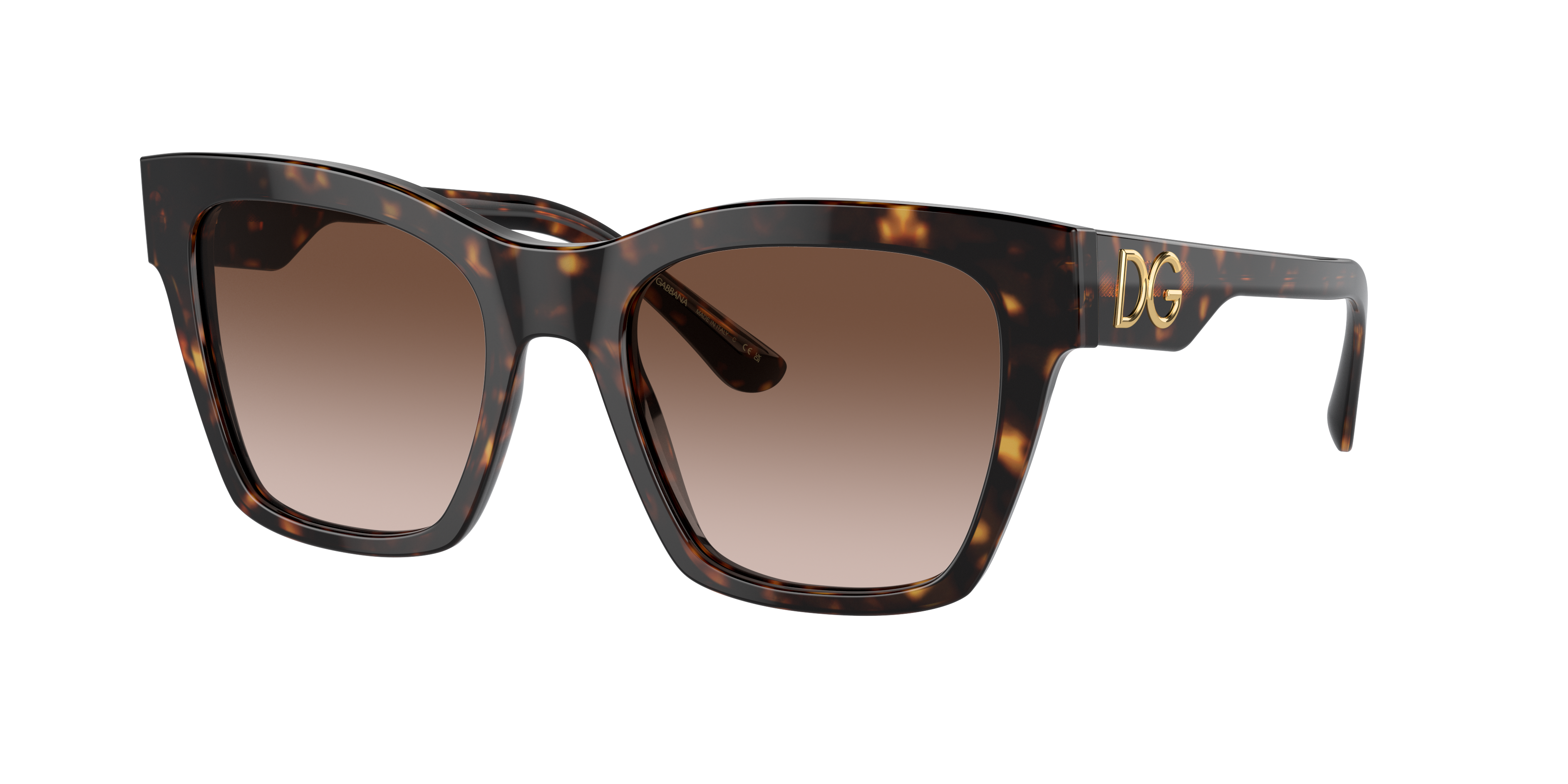 Dolce&Gabbana DG4384 L (53 - 20) with Brown lenses and Tortoise