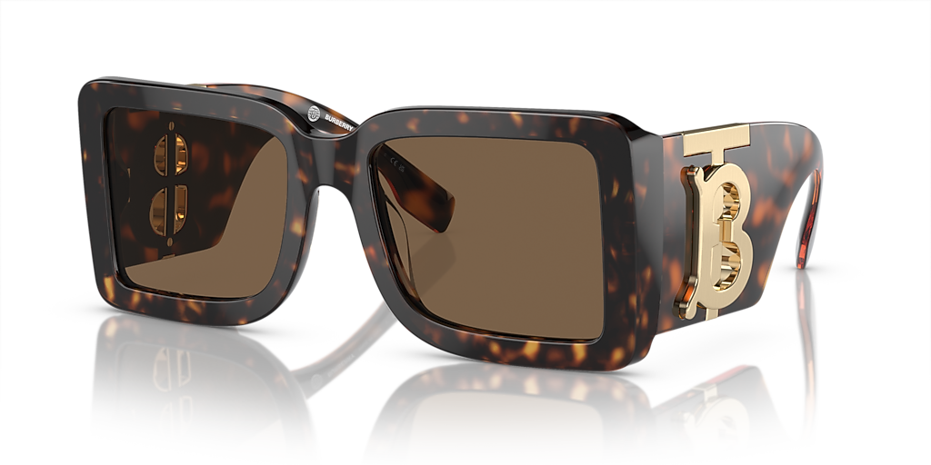 Burberry BE4406U L (55 - 20) with Brown lenses and Brown frame