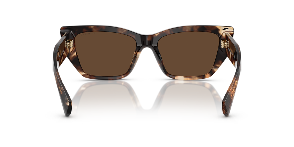 Tiffany & Co. TF4230 S (54 - 17) with Brown lenses and Brown  display picture 3