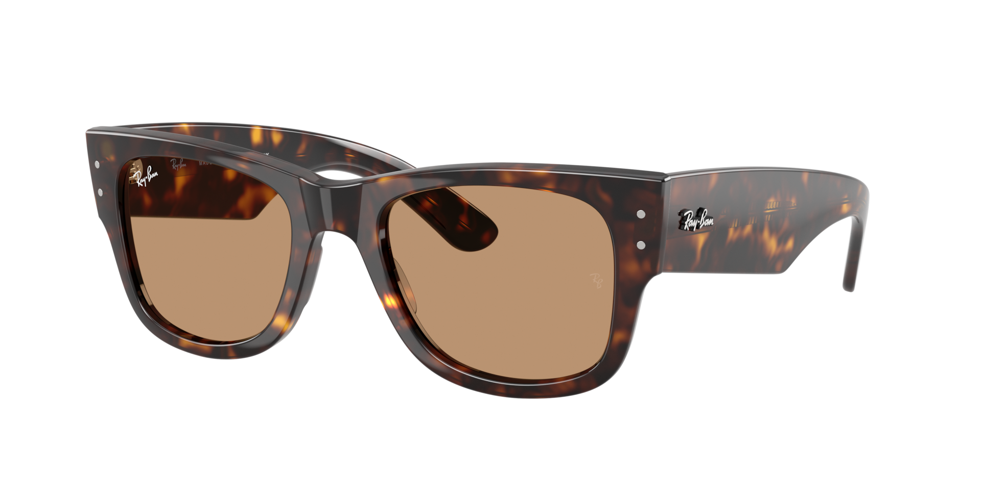 サングラス+メガネ y2k archive RayBan sunglasses brown Ray-Ban Mega Wayfarer Summer Capsule M (51 - 21) with Brown lenses