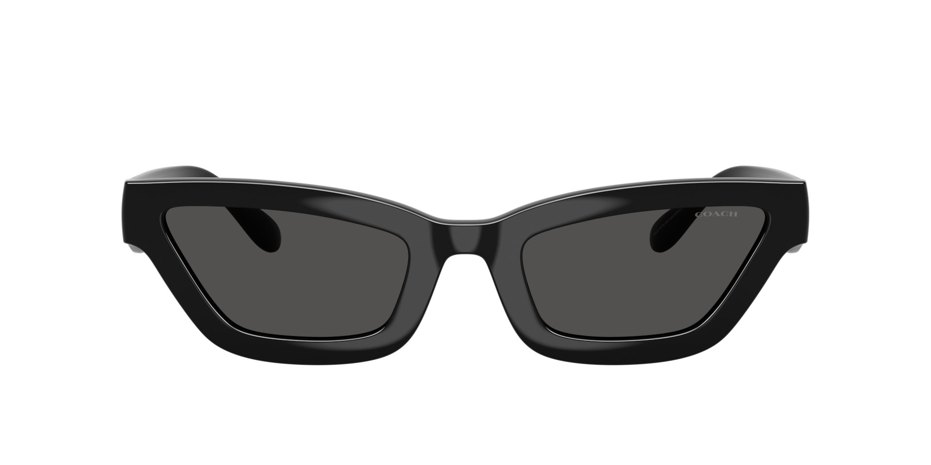 Coach CAD28 XL (55 - 23) with Grey lenses and Black frame