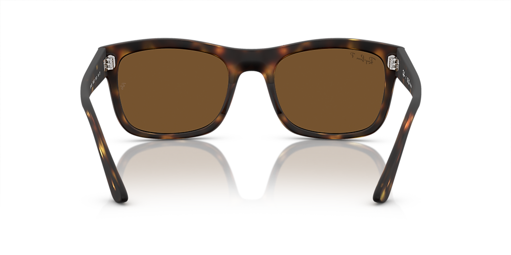 Ray-Ban RB4428 L (56 - 21) with Brown lenses and Tortoise frame