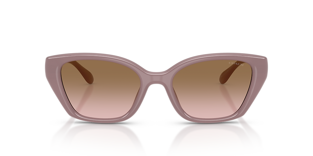Coach CBY91 M (53 - 19) with Brown lenses and Brown frame 