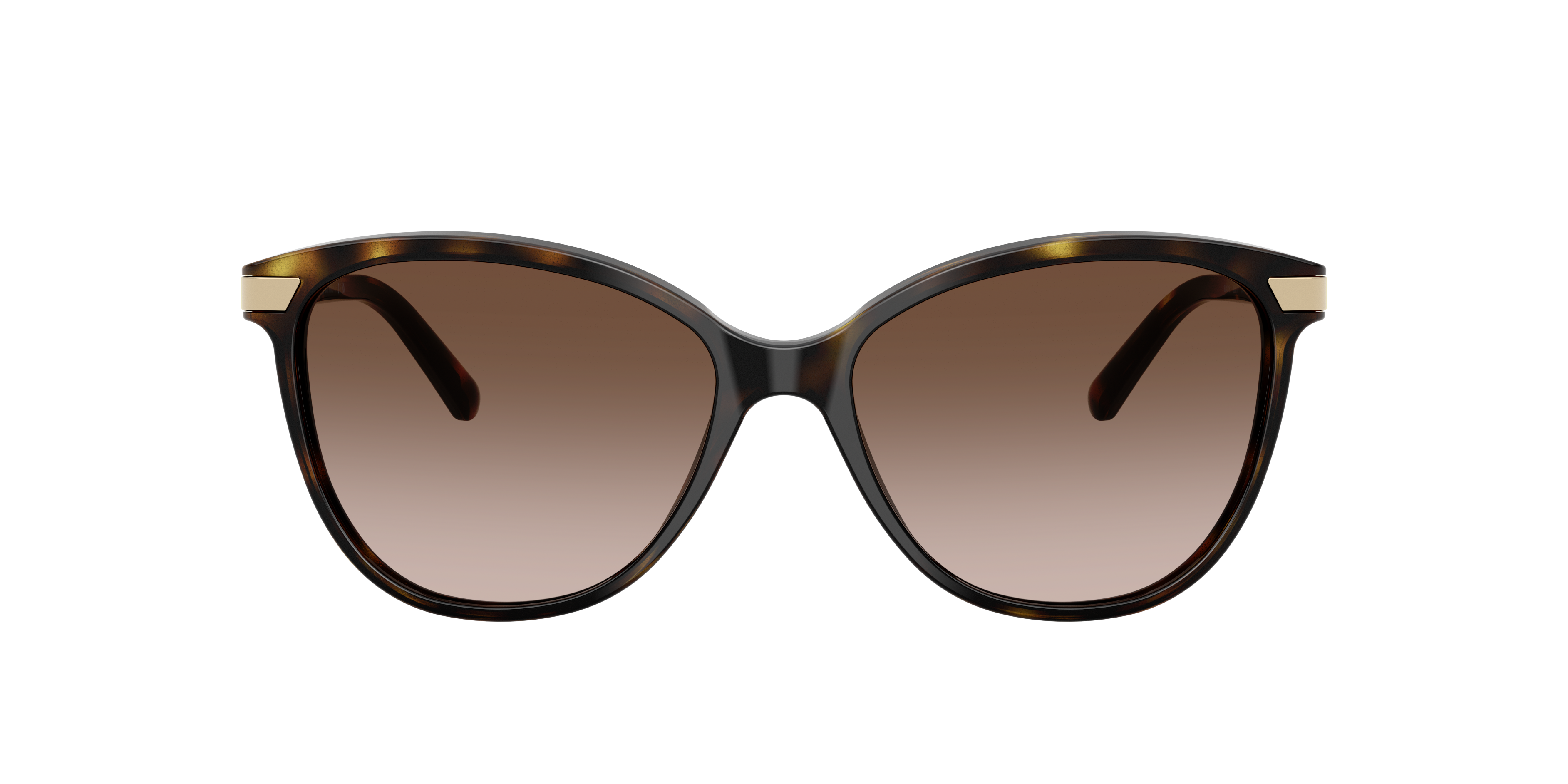 Burberry BE4216 L (57 - 16) with Brown lenses and Brown frame
