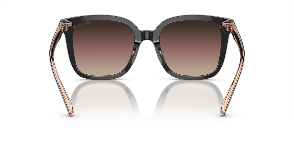 Coach CL918 L (54 - 20) with Violet lenses and Black frame