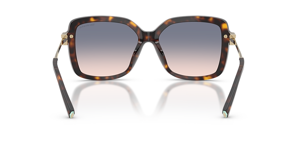 Tiffany & Co. TF4252B XL (55 - 16) with Brown lenses and Tortoise