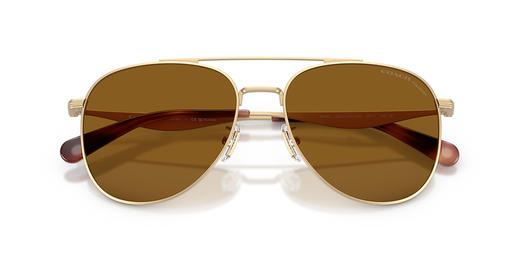 Coach CDP40 XL (58 - 17) with Brown lenses and Gold frame