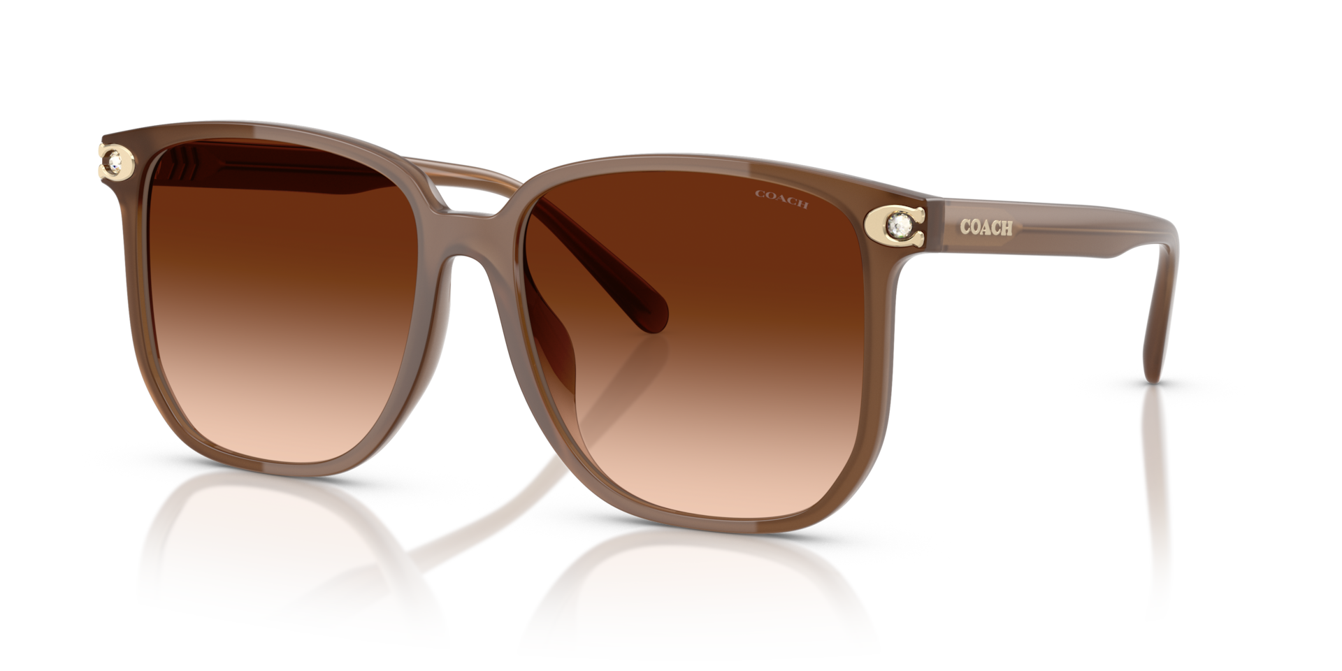 Coach CW419 XL (58 - 16) with Brown lenses and Brown frame