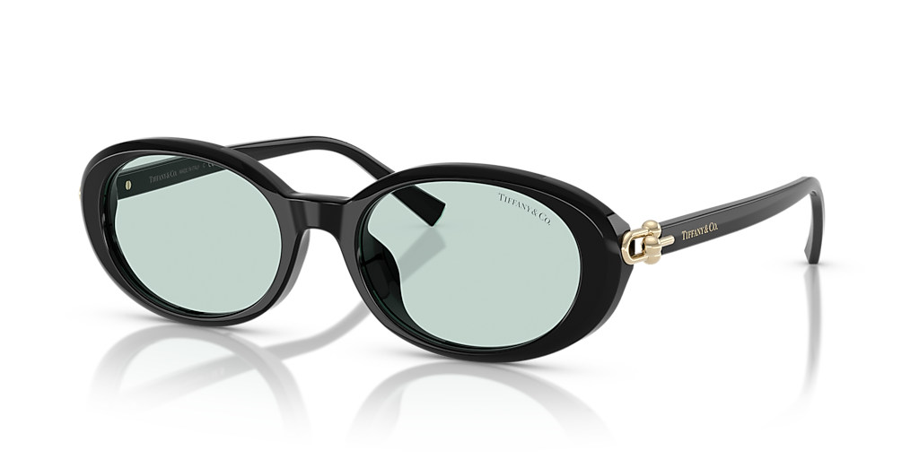 Tiffany & Co. TF4242D XXL (54 - 19) with Blue lenses and Black