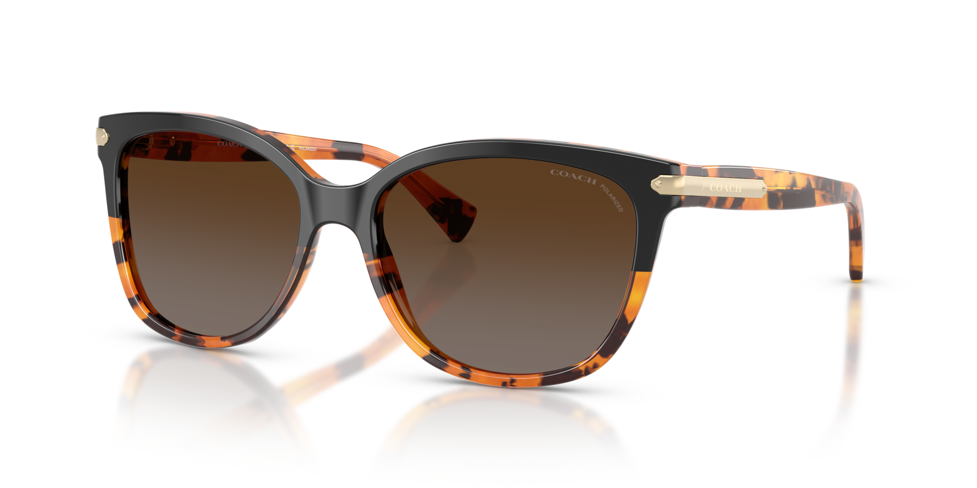 Coach L109 L (57 - 17) with Brown lenses and Tortoise frame