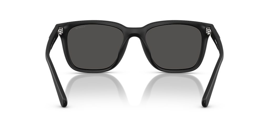 Coach CAD81 L (54 - 19) with Grey lenses and Black frame