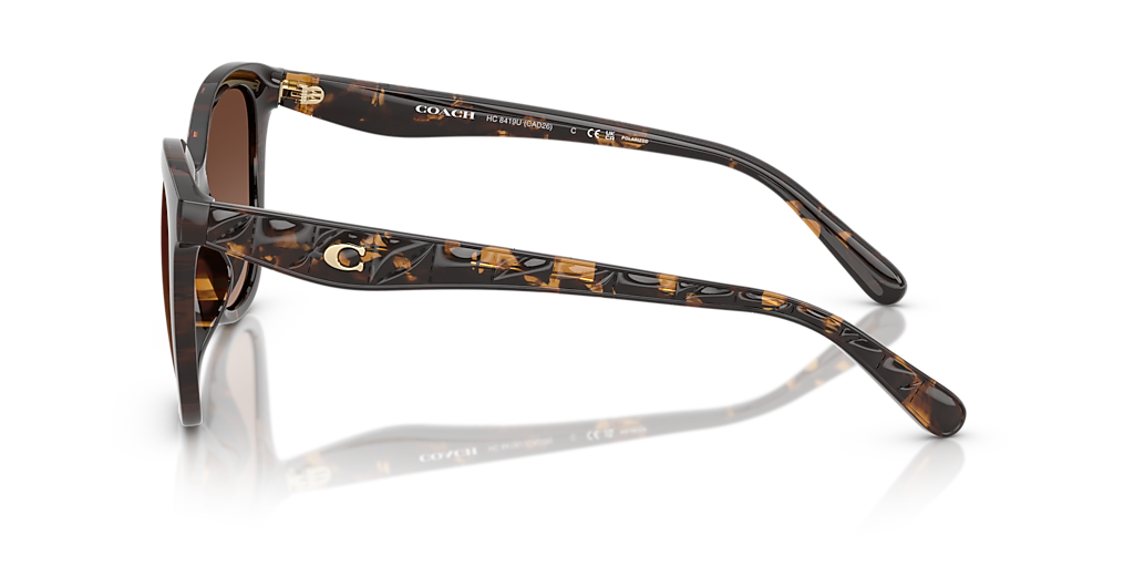Coach CAD25 XL (55 - 20) with Brown lenses and Tortoise frame