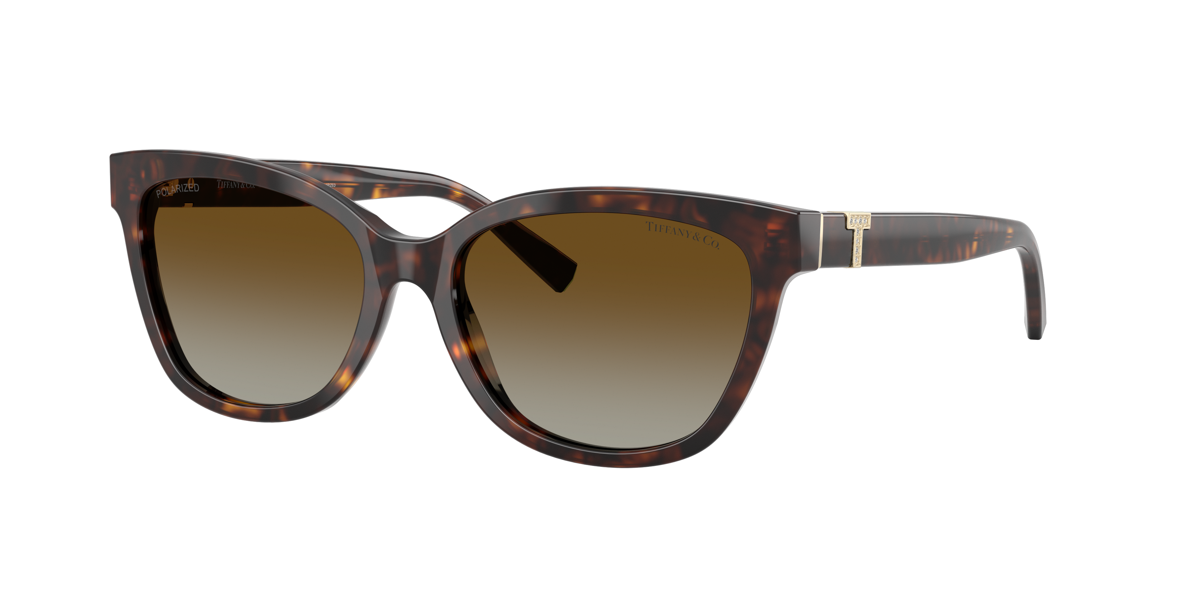 Tiffany & Co. TF4237B M (55 - 17) with Brown lenses and Tortoise