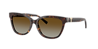 Tiffany & Co. TF4237B M (55 - 17) with Grey lenses and Black frame