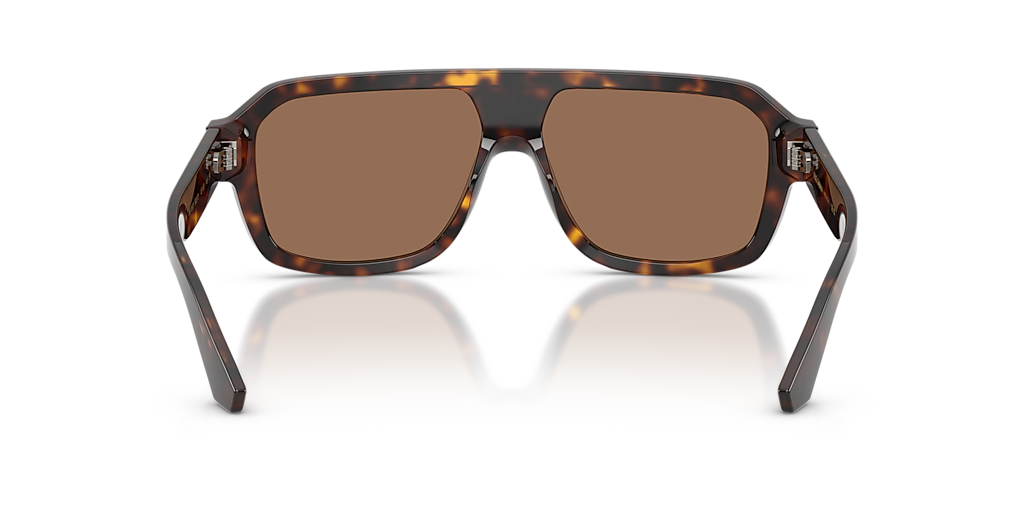 Dolce&Gabbana DG4507 L (0 - 127) with Brown lenses and Tortoise