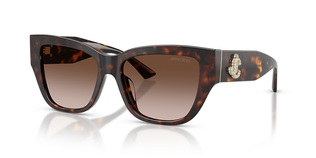 Jimmy Choo JC5039BU L (54 - 16) with Brown lenses and Tortoise