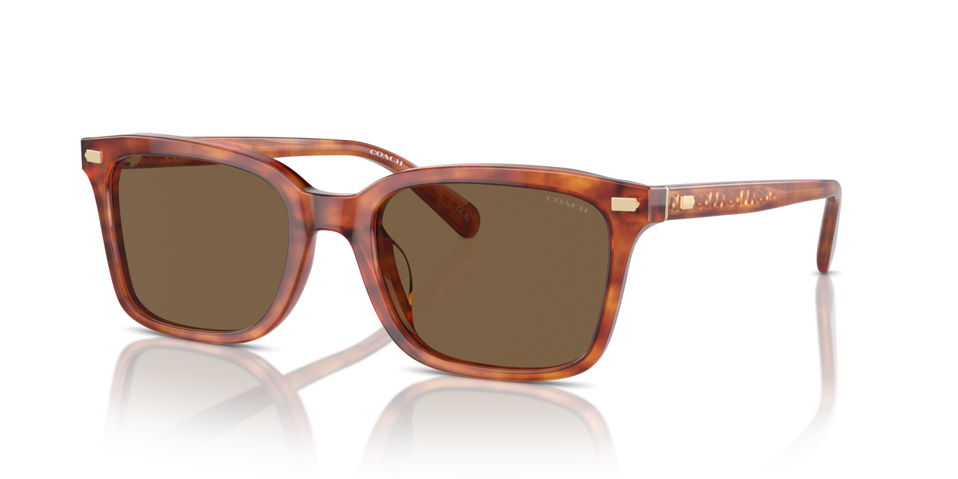 Coach HC8398U CR630 M (54 - 20) with Brown lenses and Tortoise