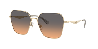 Coach CBZ51 XXL (56 - 19) with Grey lenses and Copper frame